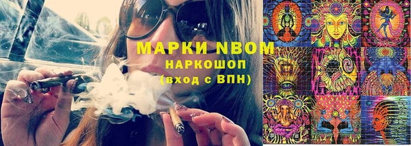 трава Аркадак
