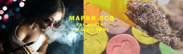 трава Аркадак